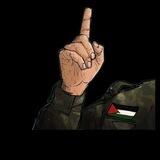 مناقشات أخبار رفح