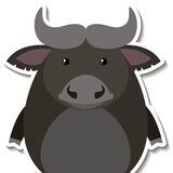 Buffalo race
