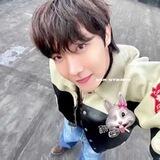 조용한 사진 arr stikers🐶