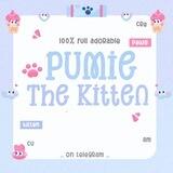 pumie the kitten