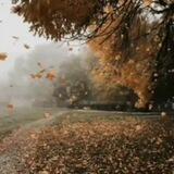 . پـٖٖـۘۘـاۘۘئیـٖٖـۘۘـُِ‌زُِاۘۘن🍁