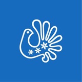 Что посмотреть в Вологодской области?