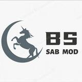 BS MOD