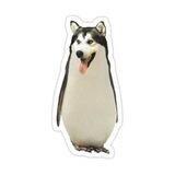 🐧 Penguin Doge 🐕