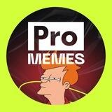 ProTraffic Memes