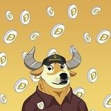 bullDOGE Official community Global group 🌍