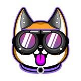 Akita CEO