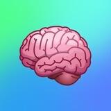 Чат Криптанов🧠