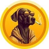 SNOOP DOGE 🐕 | OFFICIAL