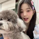 Bidadari sop