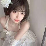 新手上路（不會喝茶看這！）