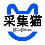 采集猫官方发布频道