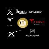 Elon Musk's Visonary Project Portal