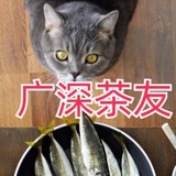深圳茶友俱乐部