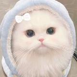 万利 短信口 手工短信
