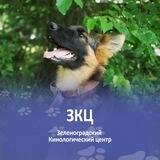 Зеленоградский Кинологический Центр (ЗКЦ)