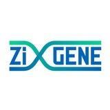 ZiGene شرکت زی ژن