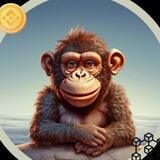 MONKEY - BSC