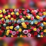 Цветы Донецк