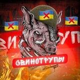 СВИНОТРУПЫ | ПЕРЕХОДНИК
