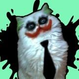 Joker Cat $JOCAT