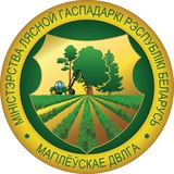 Лесные новости Могилевщины