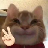 ona