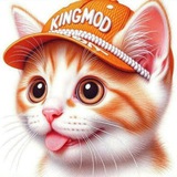 King Mods™