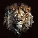 Lion BNB Official