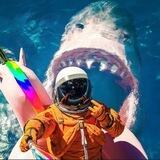 繁星引流广告代发