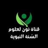 قناة نون لعلوم السُنة النبوية