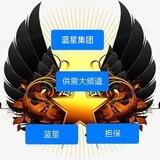 蓝星集团担保公群