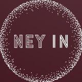 Neyroinvest