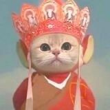 菩提短信口（支持一小时结一结）