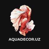 AQUADECOR.UZ