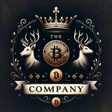 The Company & WEB3