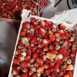 СОВМЕСТНЫЙ ЗАКУП ЕКАТЕРИНБУРГ 🍓🍒🍑🫐
