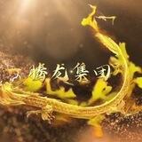 腾龙集团