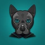 Draco Inu • Entry Portal
