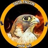 ⚜ TAITA FALCON ⚜