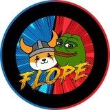Floki VS Pepe (BSC)