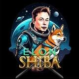 Elon Shiba X Chat