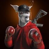 Kangaroo Coin
