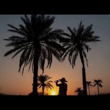 جنوبی🌴