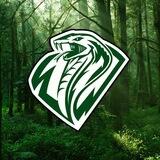 Anaconda 🐍 channel
