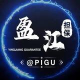 盈江担保公群 【认准屁股@pigu 】