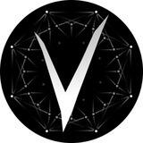 Avive战队
