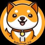 Baby Doge 2.0 Portal