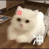 公群427淘宝京东拼多代刷已上押500U