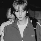 lisu’s au